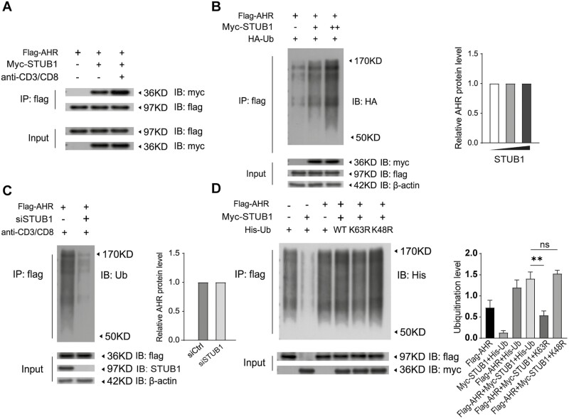 Figure 3: