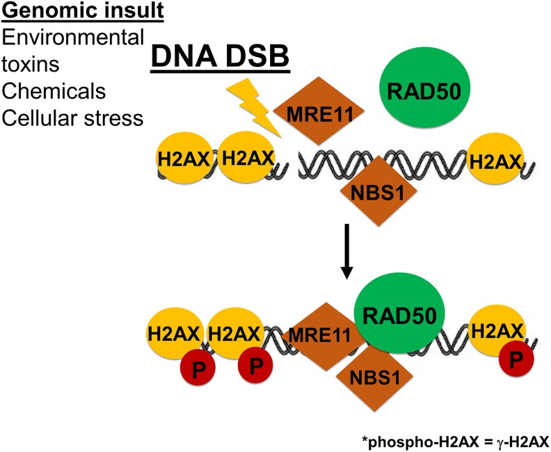 Figure 12.