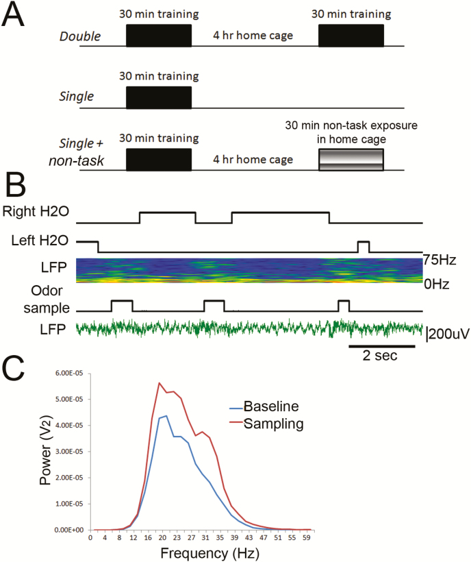 Figure 2.