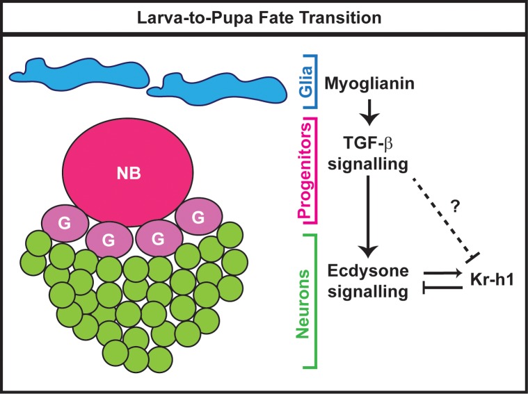 Fig 8