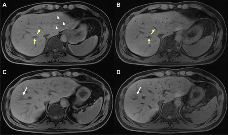 Fig. 3