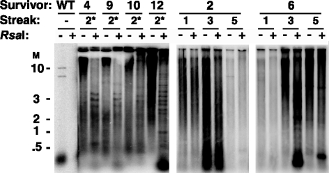 FIG. 5.