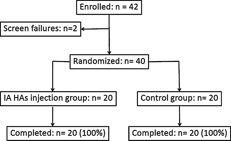 Fig. 4