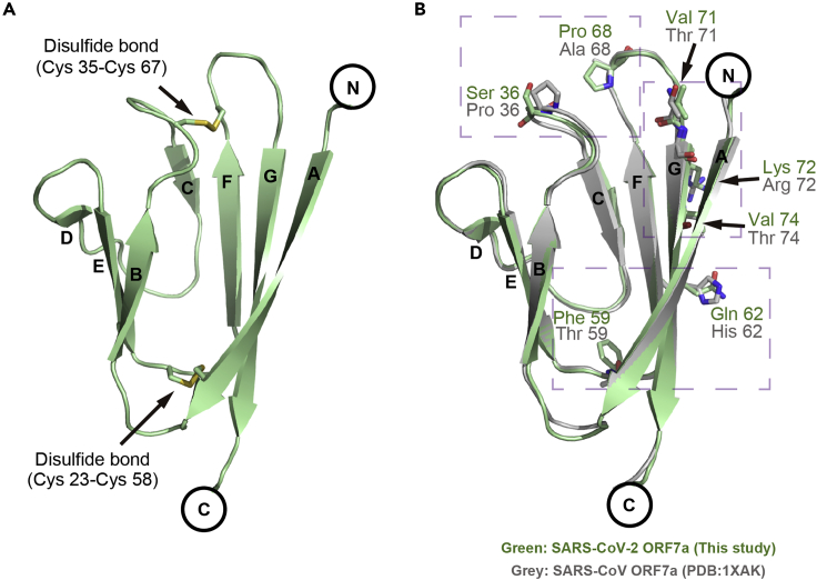 Figure 2