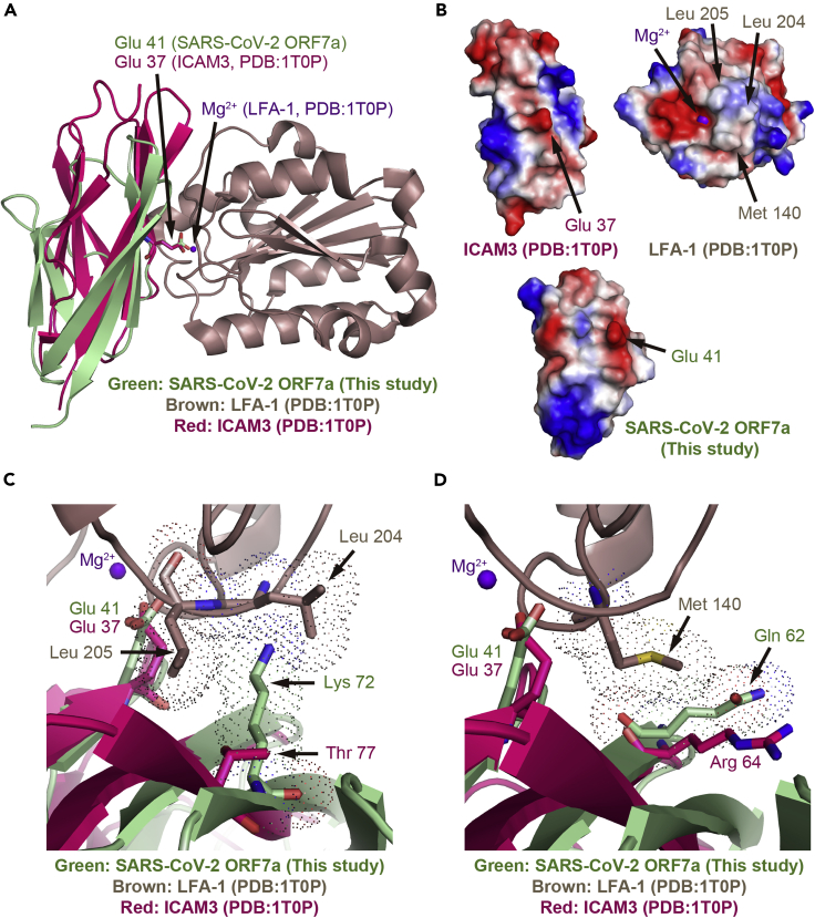 Figure 4