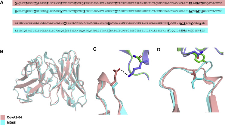 Figure 2