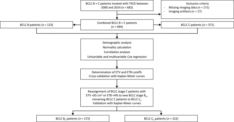 Study flowchart. Following the exclusion criteria, 494 patients were included in the analyses and stratified according to Barcelona Clinic Liver Cancer (BCLC) stages B and C. Statistical analysis was performed on clinical data from each group. Enhancing tumor volume (ETV) and enhancing tumor burden (ETB) cutoffs were determined, and patients were reassigned to new BCLC Bn and Cn classes according to their volumetrically quantified tumor burden. TACE = transarterial chemoembolization.