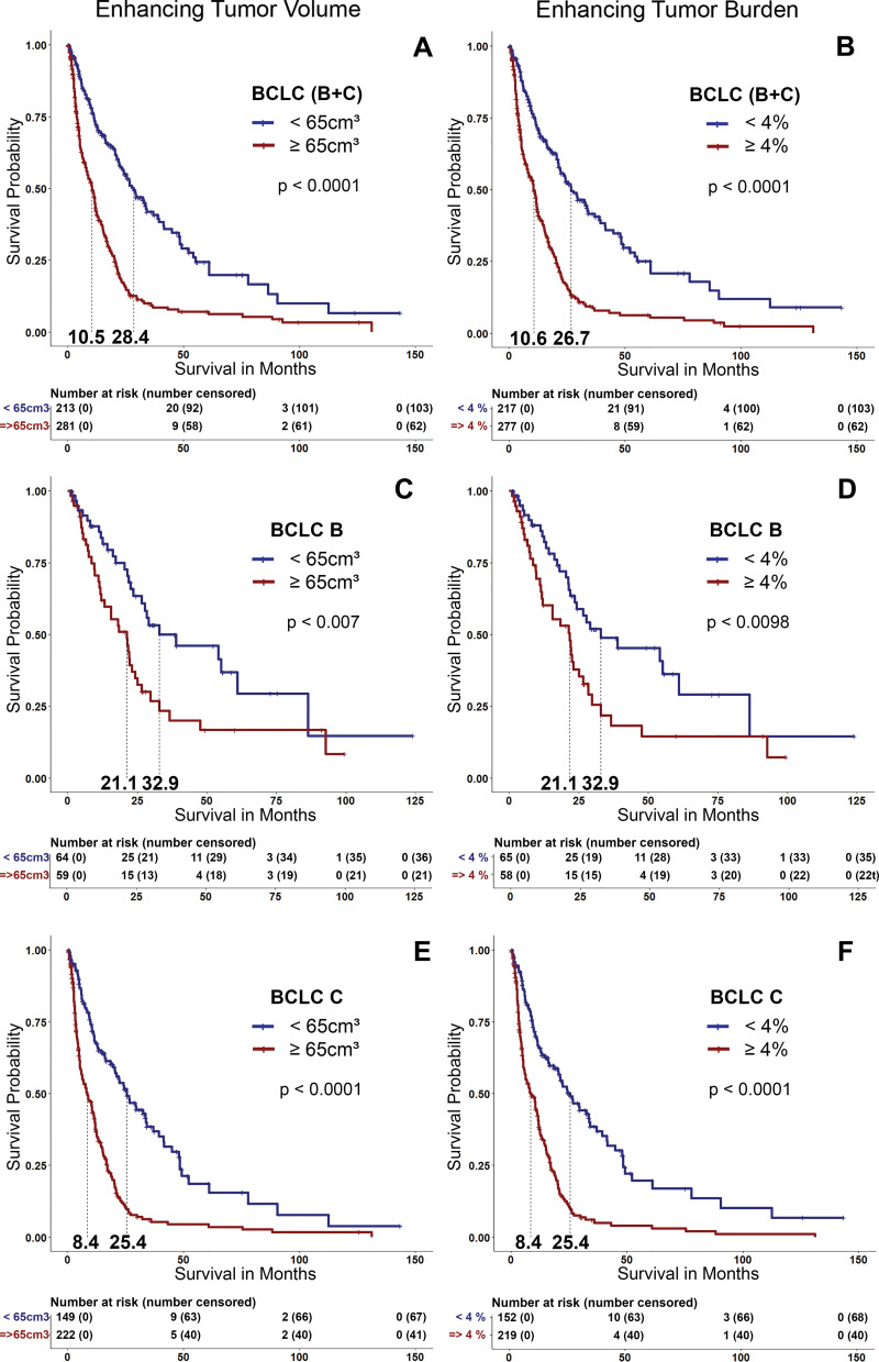 Kaplan-Meier survival curves show the comparison of patients with high (enhancing tumor volume [ETV] ≥65 cm3 and enhancing tumor burden [ETB] ≥4%) and low tumor burden (ETV <65 cm3 and ETB <4%) in (A, B) all patients (the Barcelona Clinic Liver Cancer [BCLC] B + C group), (C, D) only patients with BCLC B tumors, and (E, F) only patients with BCLC C tumors.