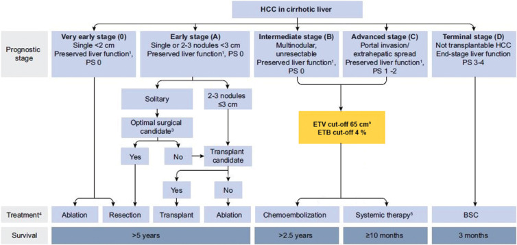 Flowchart shows proposed update to the Barcelona Clinic Liver Cancer (BCLC) classification. This figure is based on the original BCLC classification and has been modified by adding the enhancing tumor volume (ETV) threshold of 65 cm3 and enhancing tumor burden (ETB) threshold of 4% (yellow box), which precisely stratifies patients with BCLC B and C tumors and potentially improves patient survival and outcome after transarterial chemoembolization. BSC = best supportive care, HCC = hepatocellular carcinoma, PS = performance status. 1 Liver function defined by Child-Pugh score and class; 3 Candidacy for resection determined by clinical parameters and co-morbidities; 4 Therapy determined by multi-disciplinary tumor board; 5 Multiple first- and second-line systemic therapy options as outlined by the BCLC 2022 update.