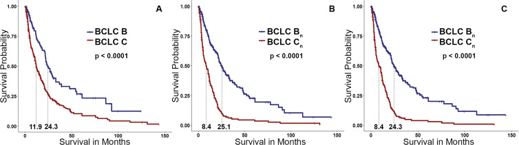 Kaplan-Meier curves. (A) Group of patients with Barcelona Clinic Liver Cancer (BCLC) B or C cancers. (B) Survival curve after reassignment of patients with BCLC C cancers with an enhancing tumor volume (ETV) of less than 65 cm3 to BCLC Bn compared with the remaining high–tumor burden BCLC Cn group. (C) Survival curve after reassignment of patients with BCLC C cancers with enhancing tumor burden of less than 4% to BCLC Bn. Patient reallocation based on either ETV of less than 65 cm3 or enhancing tumor burden of less than 4% resulted in a greater separation of the survival curves than the original separation achieved based on conventional BCLC classification.