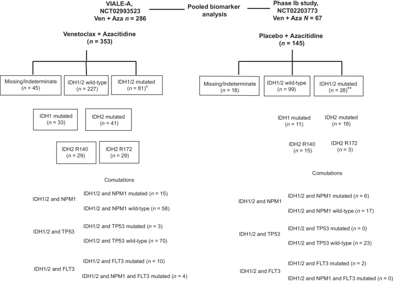 Figure 1. Study design and molecular classification. *Two patients had both IDH1/2 mutations. **One patient had both IDH1/2 mutations. Ven, venetoclax; Aza, azacitidine.