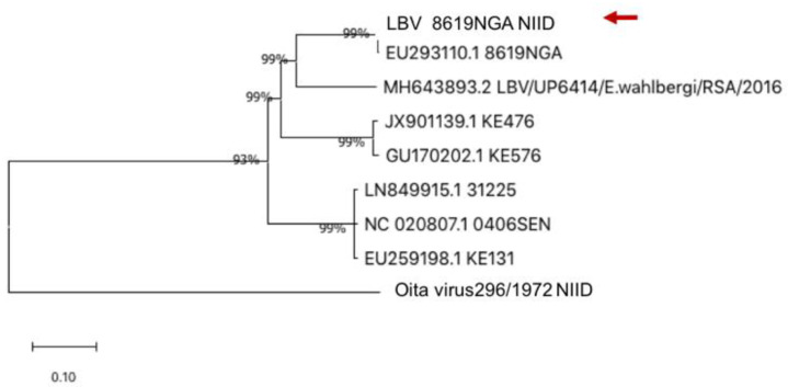 Figure 5