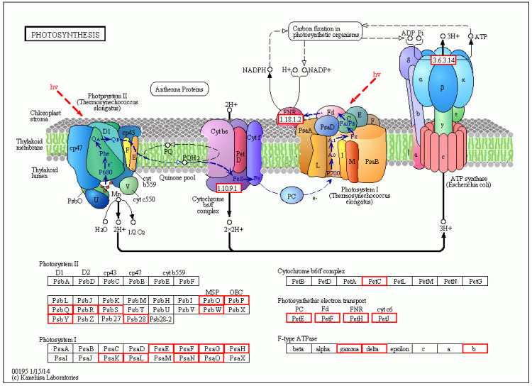 Figure 11