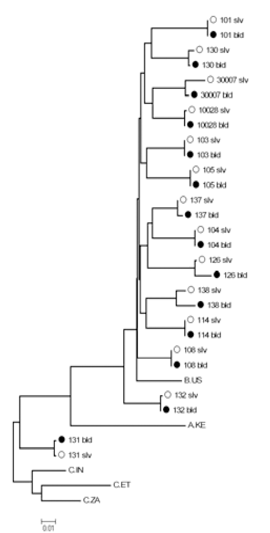 Fig. (1)