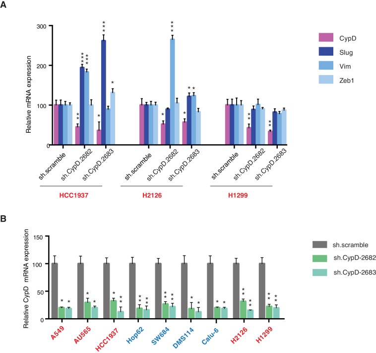 Figure 5—figure supplement 1.