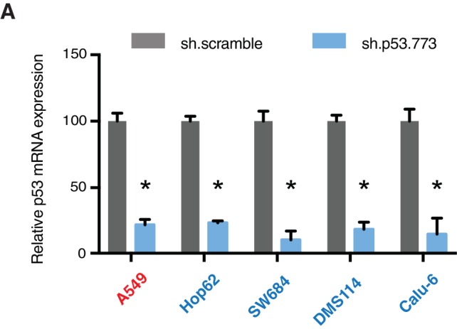 Figure 4—figure supplement 5.