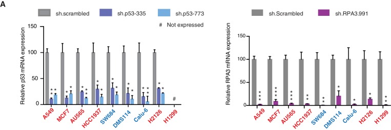 Figure 3—figure supplement 5.