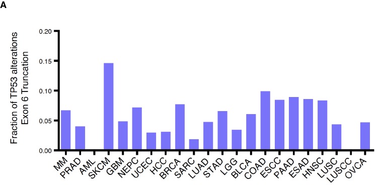 Figure 1—figure supplement 3.