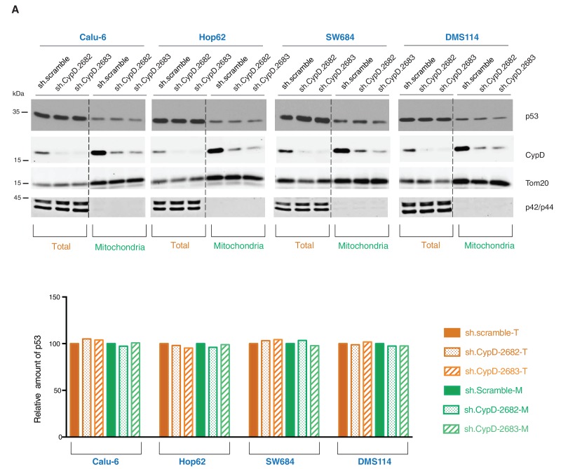 Figure 4—figure supplement 7.