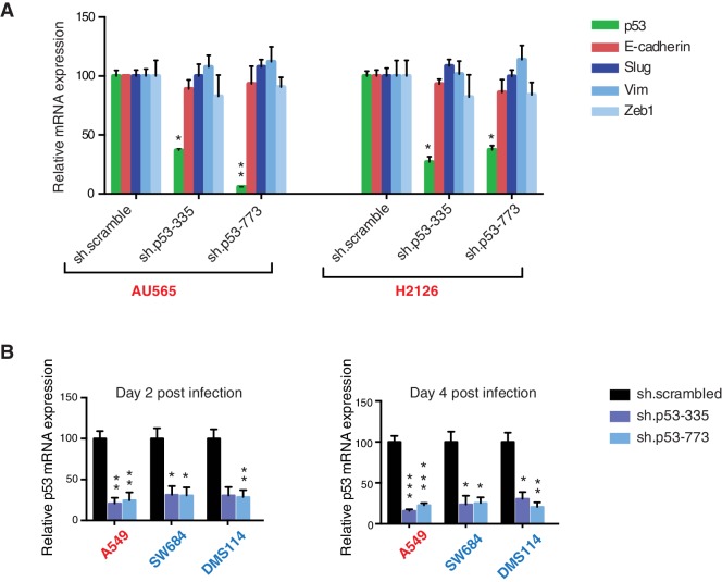 Figure 3—figure supplement 4.