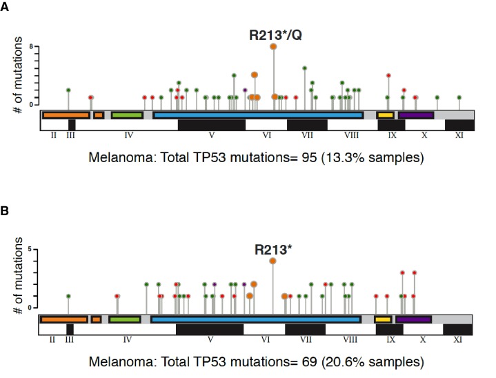 Figure 1—figure supplement 2.