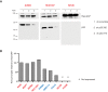 Figure 3—figure supplement 3.