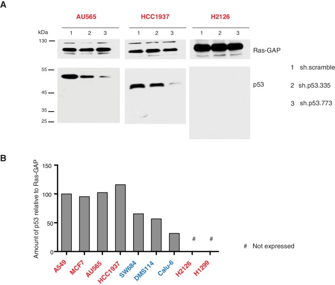 Figure 3—figure supplement 3.