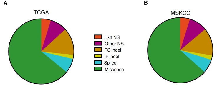 Figure 1—figure supplement 1.