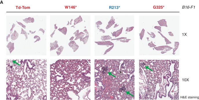 Figure 2—figure supplement 4.