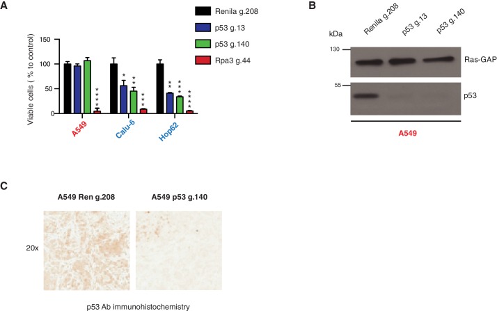 Figure 3—figure supplement 7.