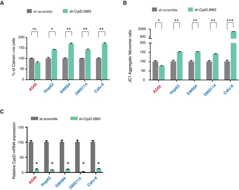 Figure 4—figure supplement 4.