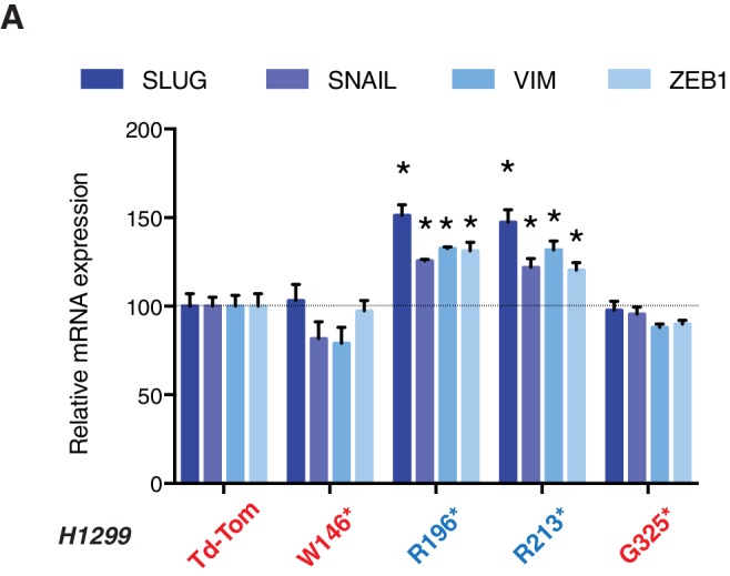 Figure 2—figure supplement 3.