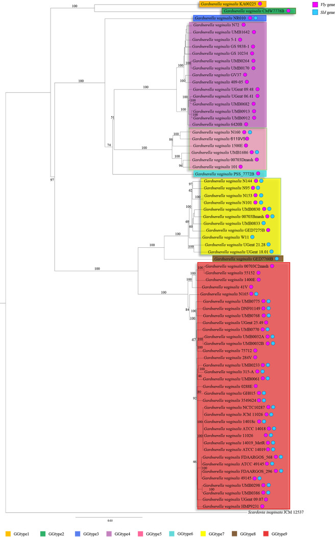 FIG 2