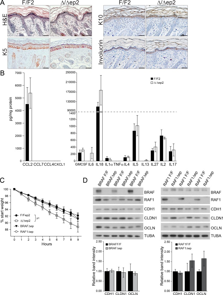 Figure 4—figure supplement 1.