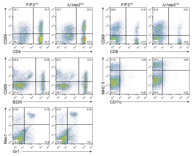 Figure 5—figure supplement 1.