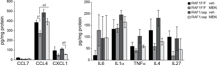 Figure 7—figure supplement 1.