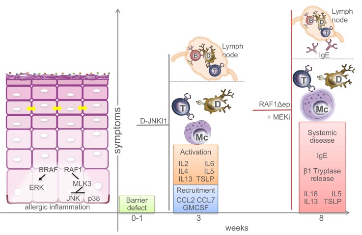 Figure 10.