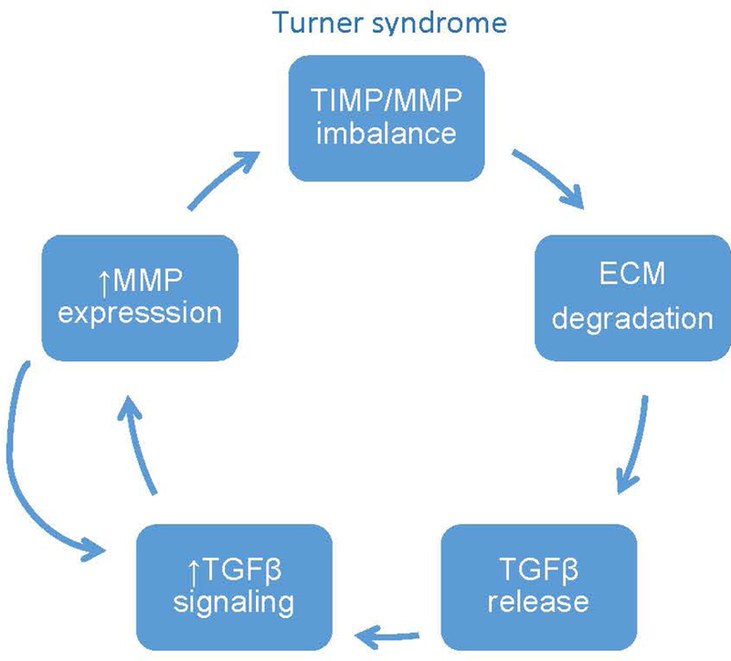 Figure 10.