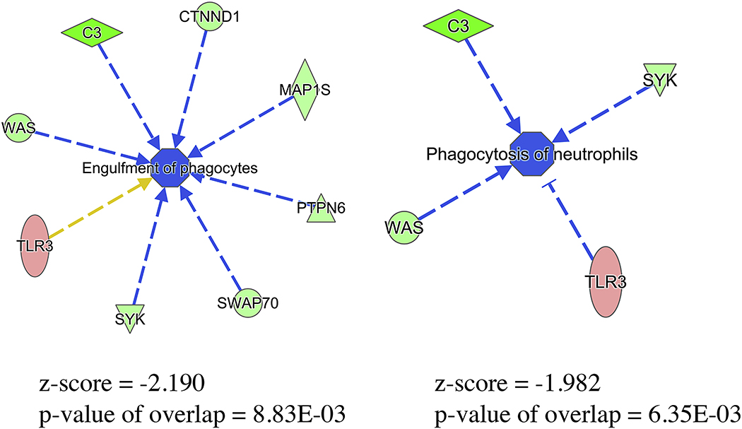 Figure 5.