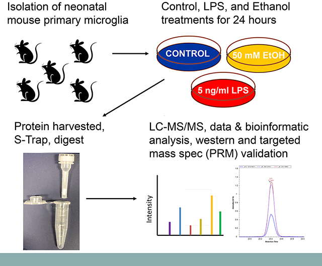 graphic file with name nihms-1581412-f0001.jpg