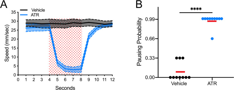 Figure 3—figure supplement 1.