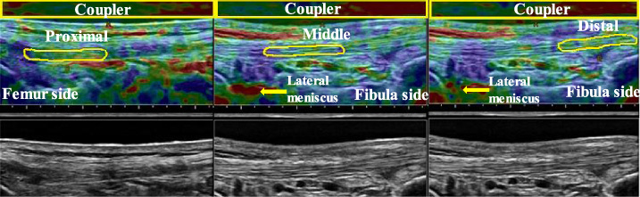 Fig. 8.