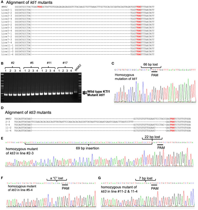 Figure 3