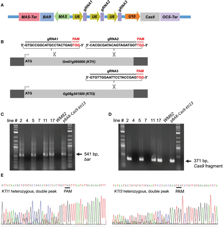 Figure 2