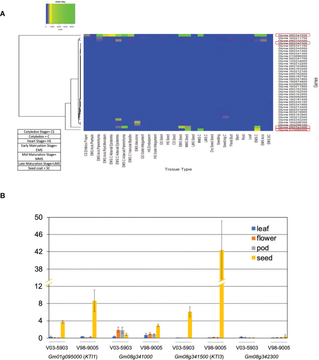 Figure 1