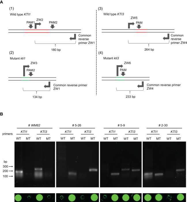 Figure 6