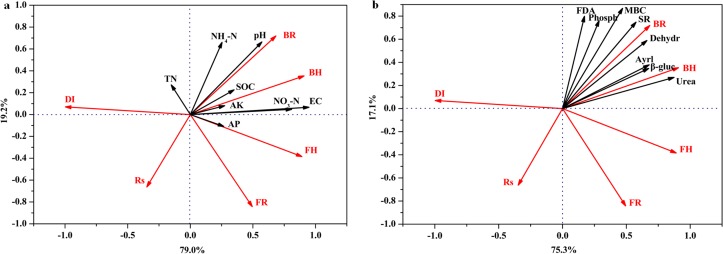 Fig 5