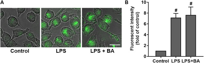 FIGURE 10