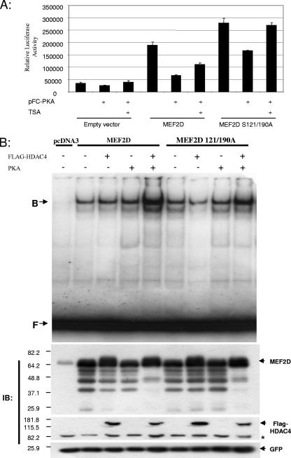 FIG. 10.