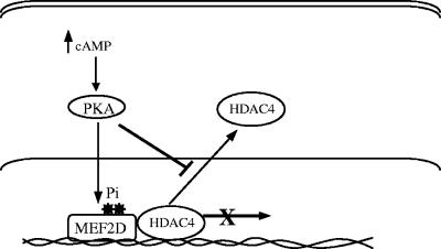 FIG. 12.